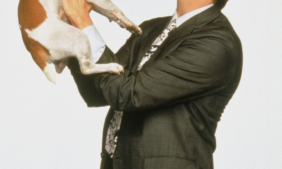 Собака-катастрофа или «сложный ребенок»? Топ пород, которые проверят ваши нервы на прочность