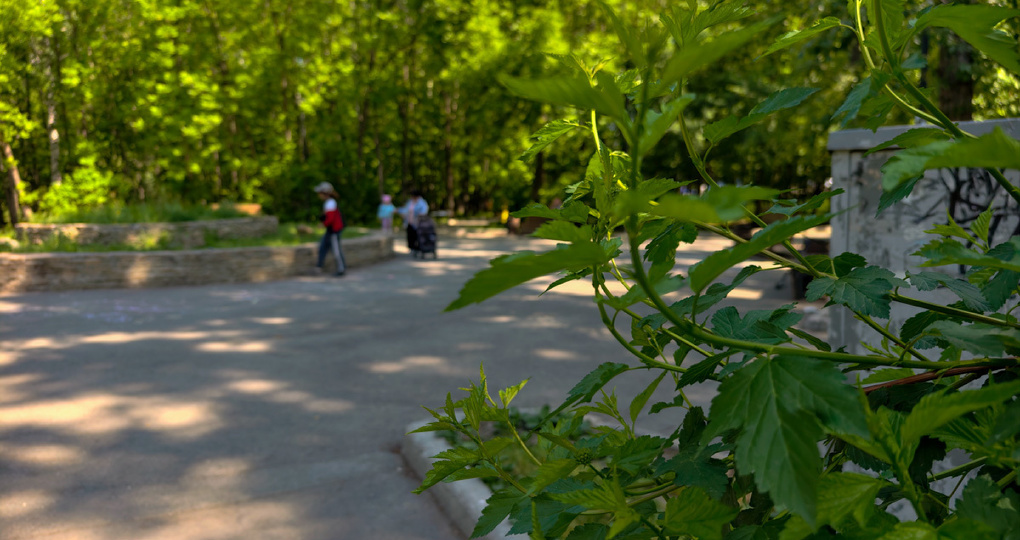 17 парков Екатеринбурга поборются за деньги на благоустройство. Рендеры