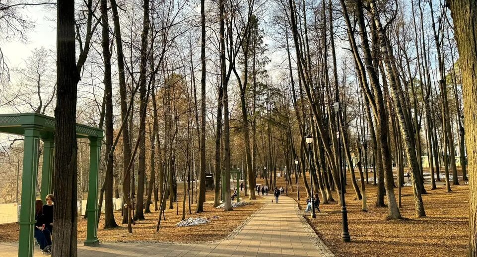   Раменский парк