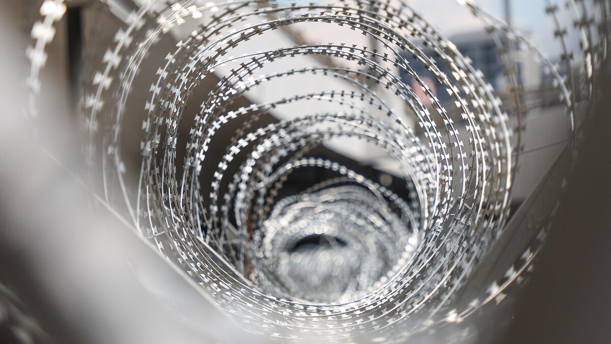    Фото: Belkin Alexey/globallookpress.com