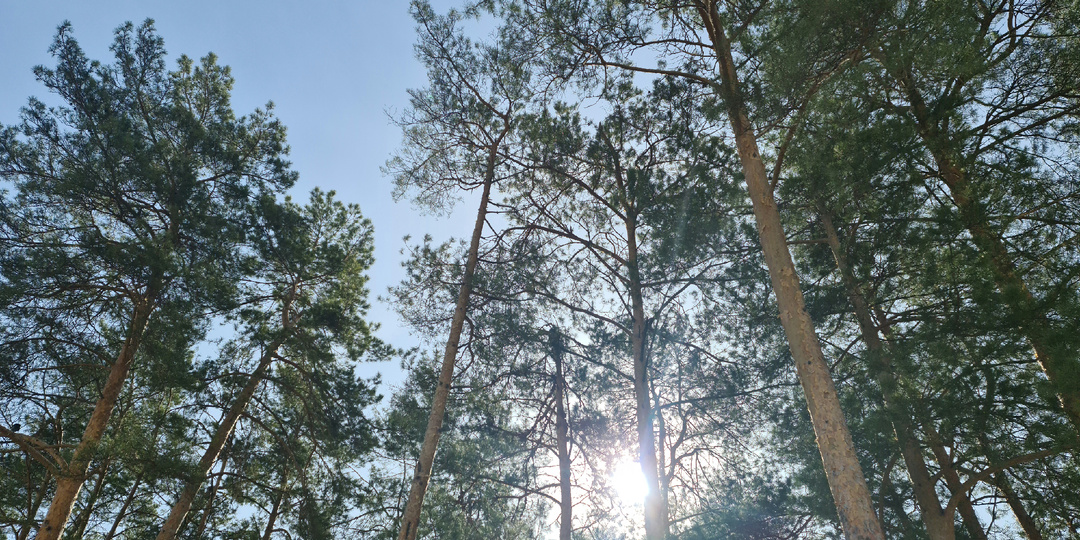 Весна для меня. Немного слов о красивой природе