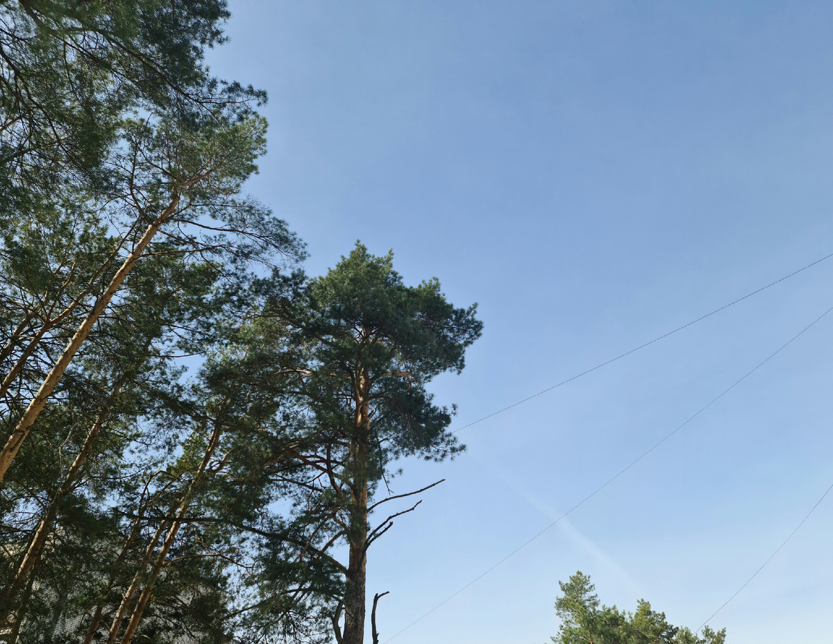 Облечу мысленно и философски и внутри вокруг всей земли, чтобы она и дальше все еще была жива, чтобы было солнце над нами. Как в известной детской песне: "Пусть всегда будет солнце, пусть всегда будет небо, пусть всегда буду конечно же я"