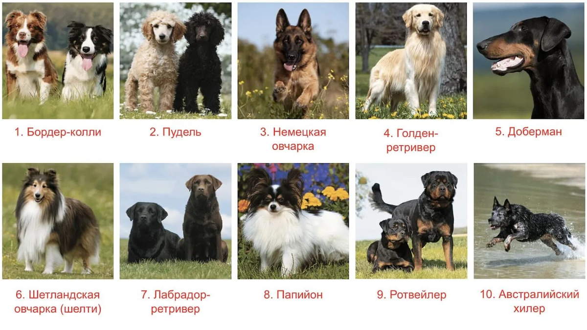 Картинка из открытых источников