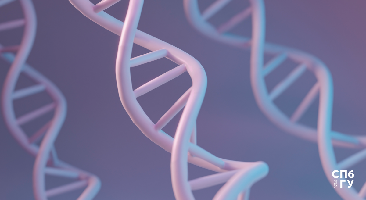 Источник: Freepik