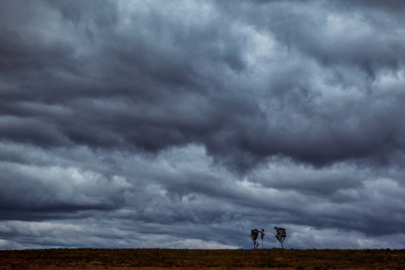    Тематическое фото. Фото: ИА OmskMedia