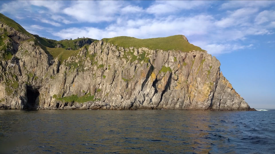 ФОТО: Кадр программы "Как устроен мир", РЕН ТВ