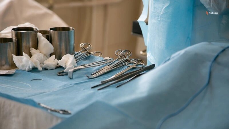      Фото: Валерия Алтухова / / ИА «Победа26»