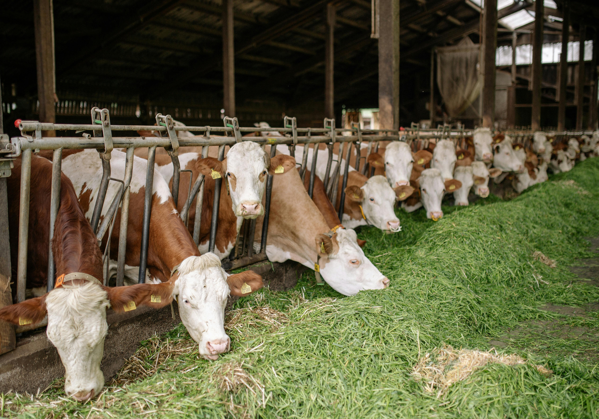 Источник изображения: canva.com