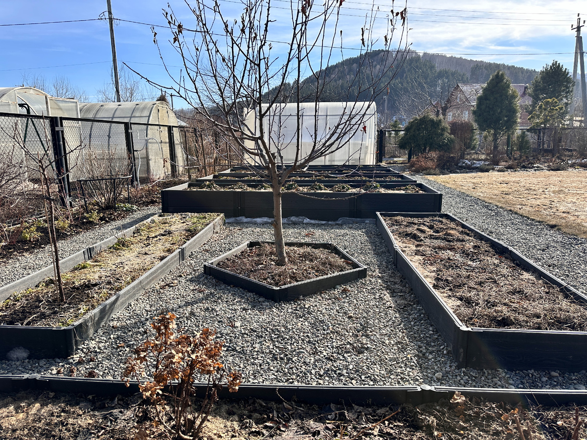 Наш мини-огород. Но обрабатываем не только его, но и весь декоративный сад.