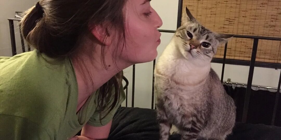 Как питомец незаметно дрессирует хозяина? 5 методов для управления человеком