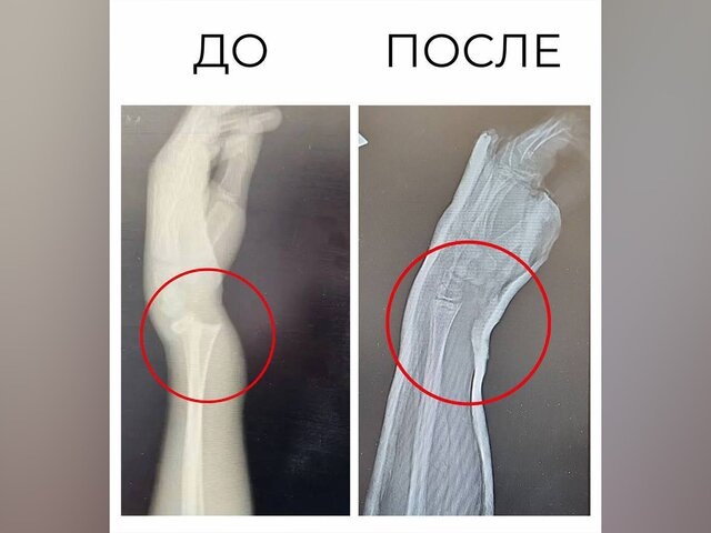    Фото: mz.mosreg.ru