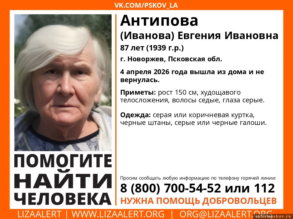 Изображение: «ЛизаАлерт»