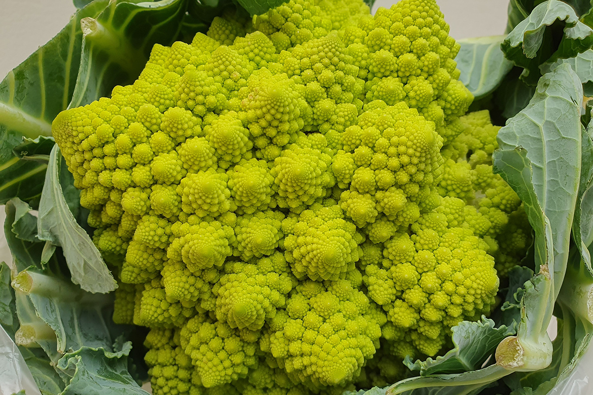 Route66 / Shutterstock / FOTODOM📷Цветная капуста романеско отличается необычной формой соцветия