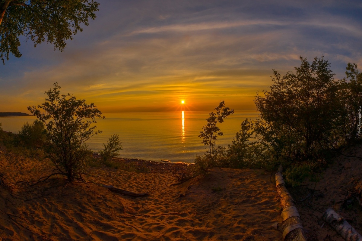 фото взято из открытого источника