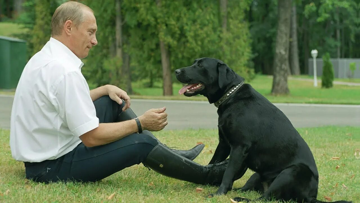 Картинка из открытых источников
