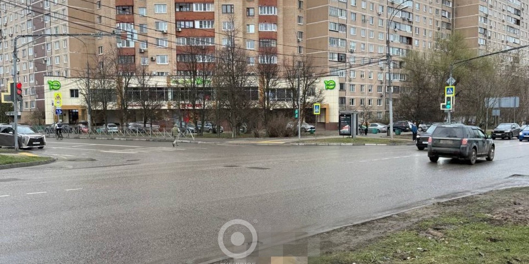 На перекрестке Красногорского шоссе и улицы Новоспортивная насмерть сбили собачку