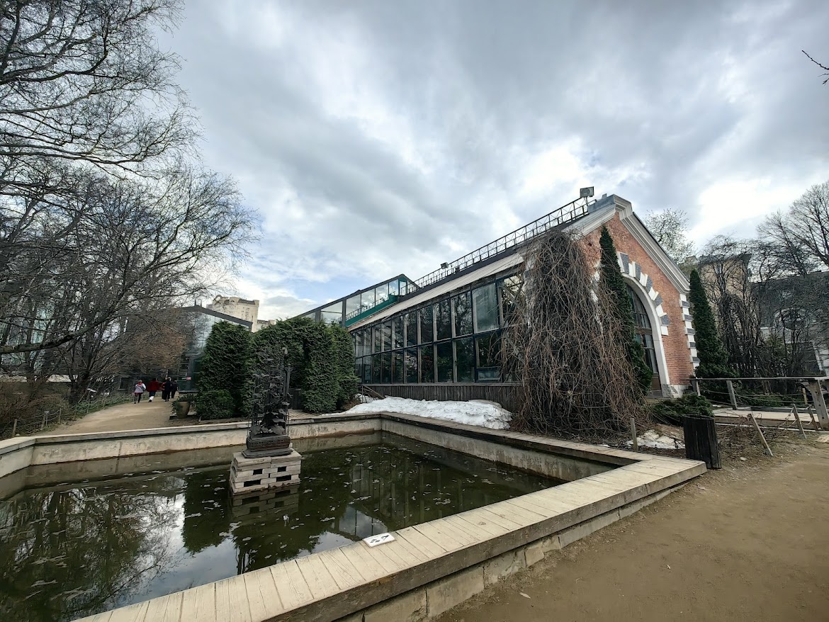 Оранжерея Аптекарского огорода