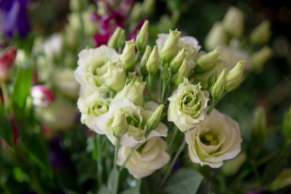    Shutterstock/FOTODOM