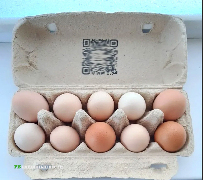    Фото Л.Александровой Василий Шеин