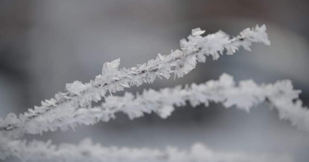 Заморозки до -3 °С ожидаются в Ростовской области