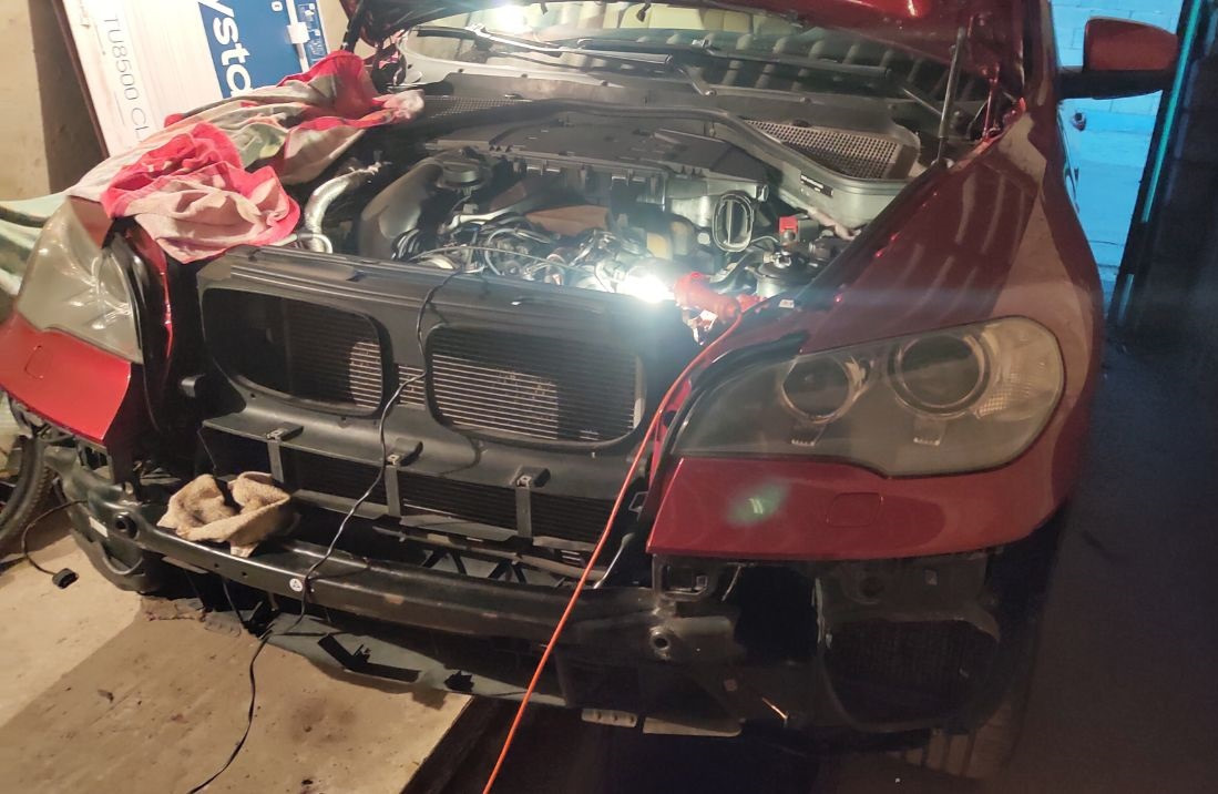 Немного раздербанил морду. Другой ракурс.