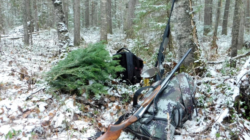    Автор: Вячеслав Вольгин