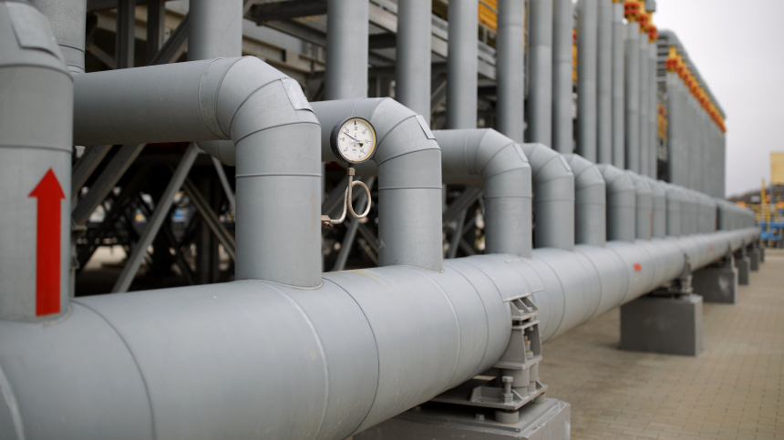    Фото: © РИА Новости/Виталий Тимкив; 5-tv.ru