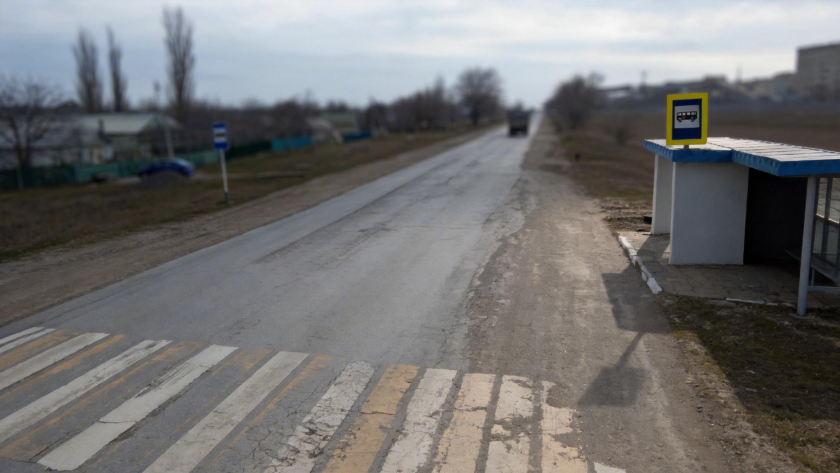    Фото: Правительство РО