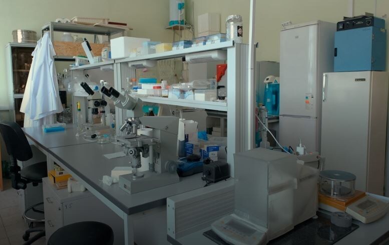 В Новосибирске не нашли поставщика вакцины против клещевого энцефалита