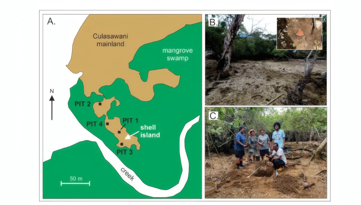 Как показал анализ, остров в районе Куласавати мог формироваться там, куда несколько столетий выбрасывали остатки съедобных моллюсковИсточник: Geoarcheology