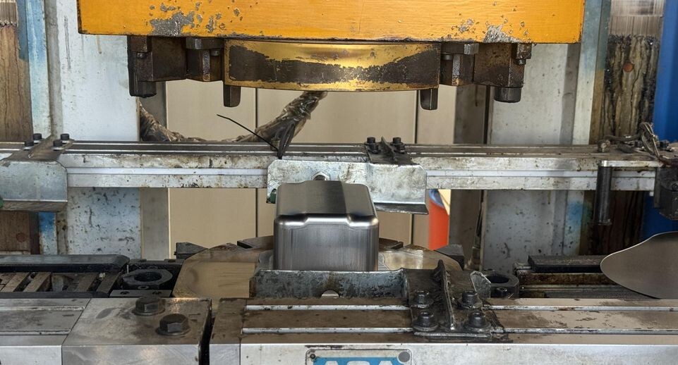    Полина Абраменко