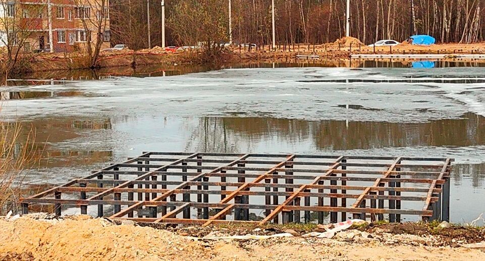    Елена Катасонова