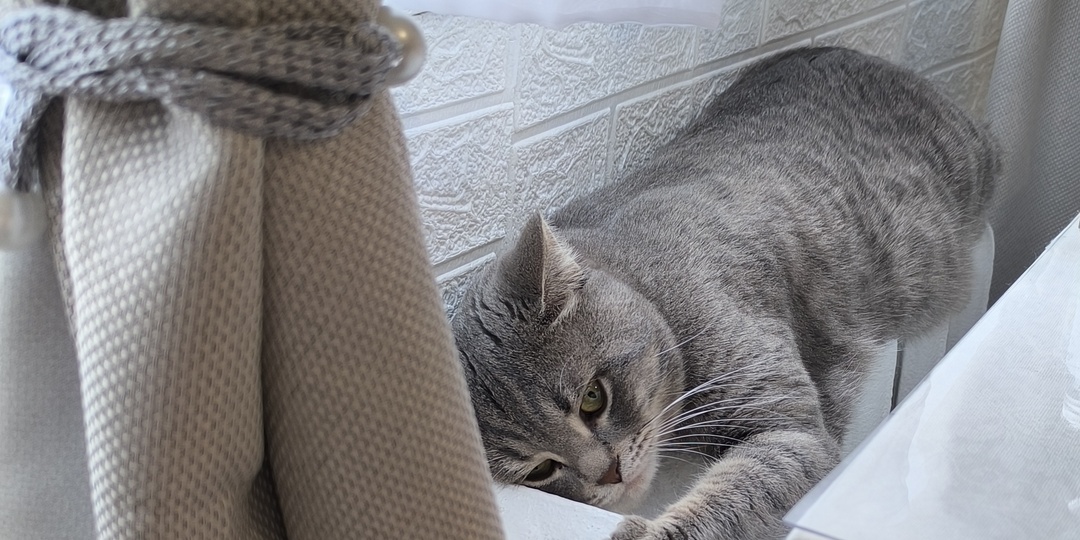 У хорошего хозяина всегда дела дома найдутся: взгляд изнутри канала "Хитрюлькины рецепты"