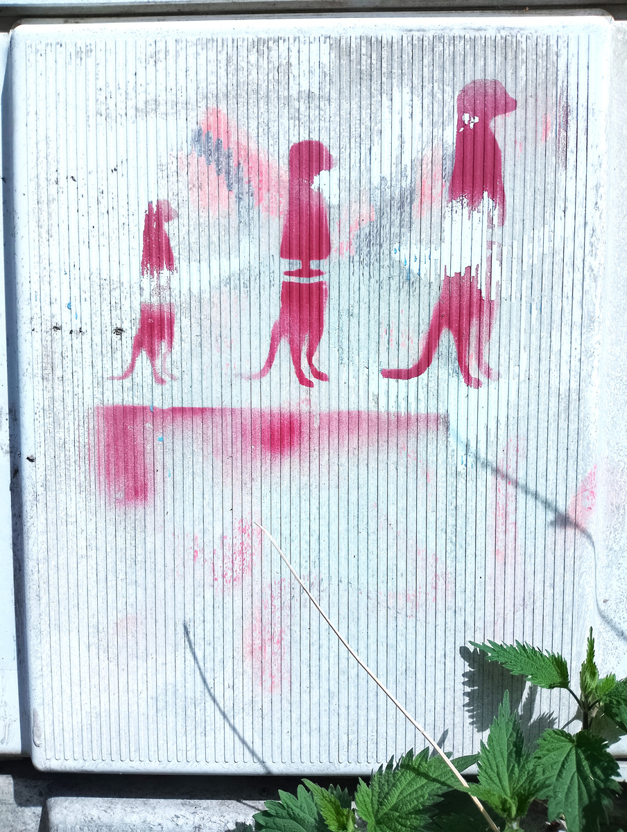 Граффити. Фото автора.