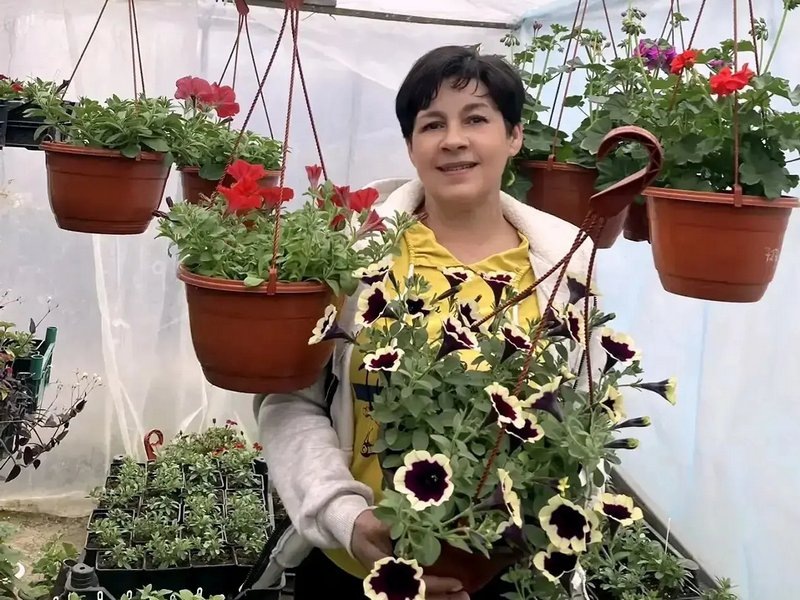 Людмила Штаркина много лет выращивает рассаду цветов