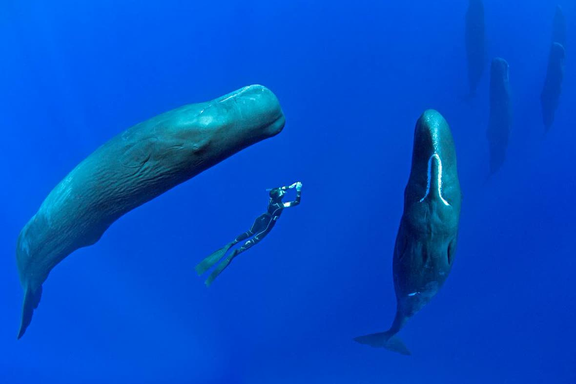 Из открытых источников