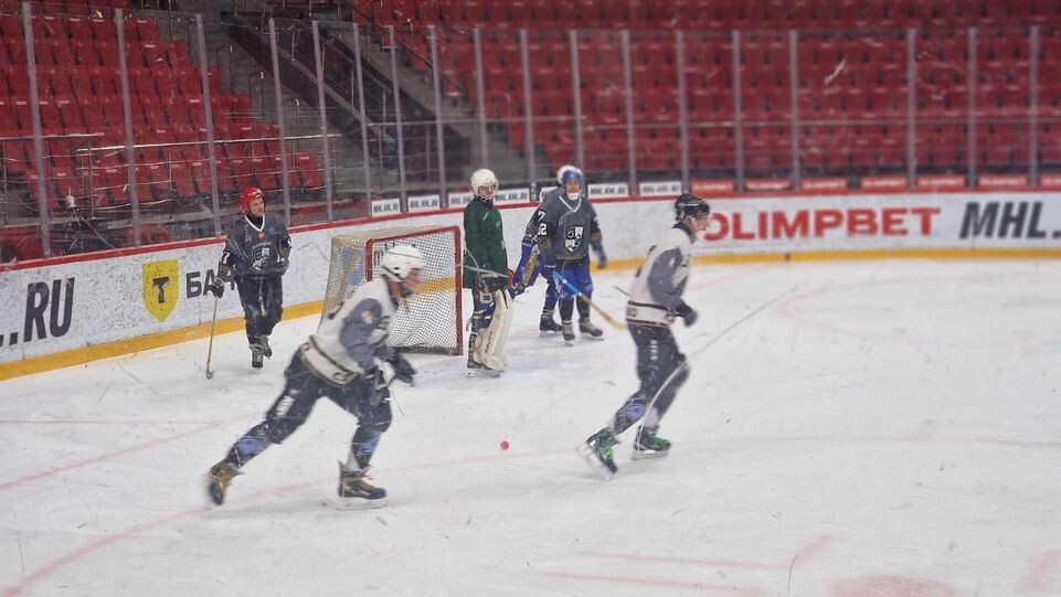    Виктория Фортуна