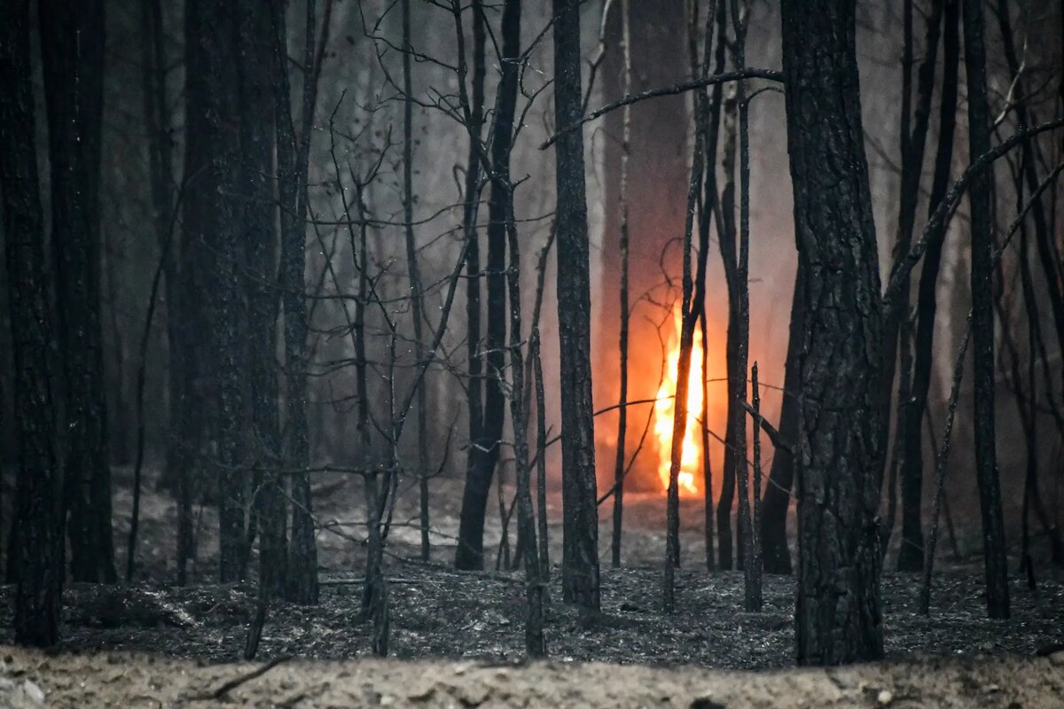     © РИА Новости. Евгений Епанчинцев