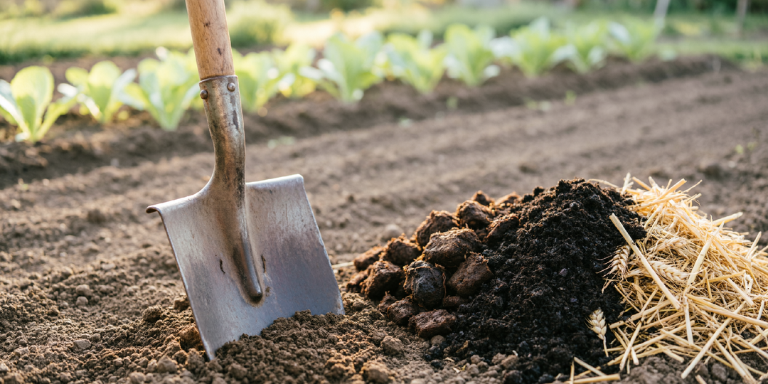 Делаю с почвой весной 3 простых действия. Урожайность выросла в 2 раза за 4 года