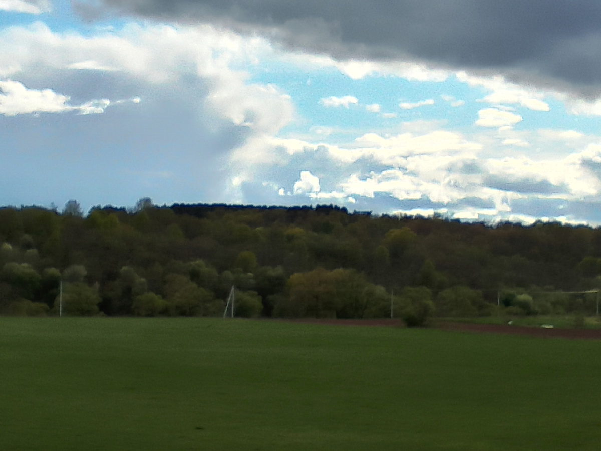 Первая прозрачная зелень в лесах и на полях