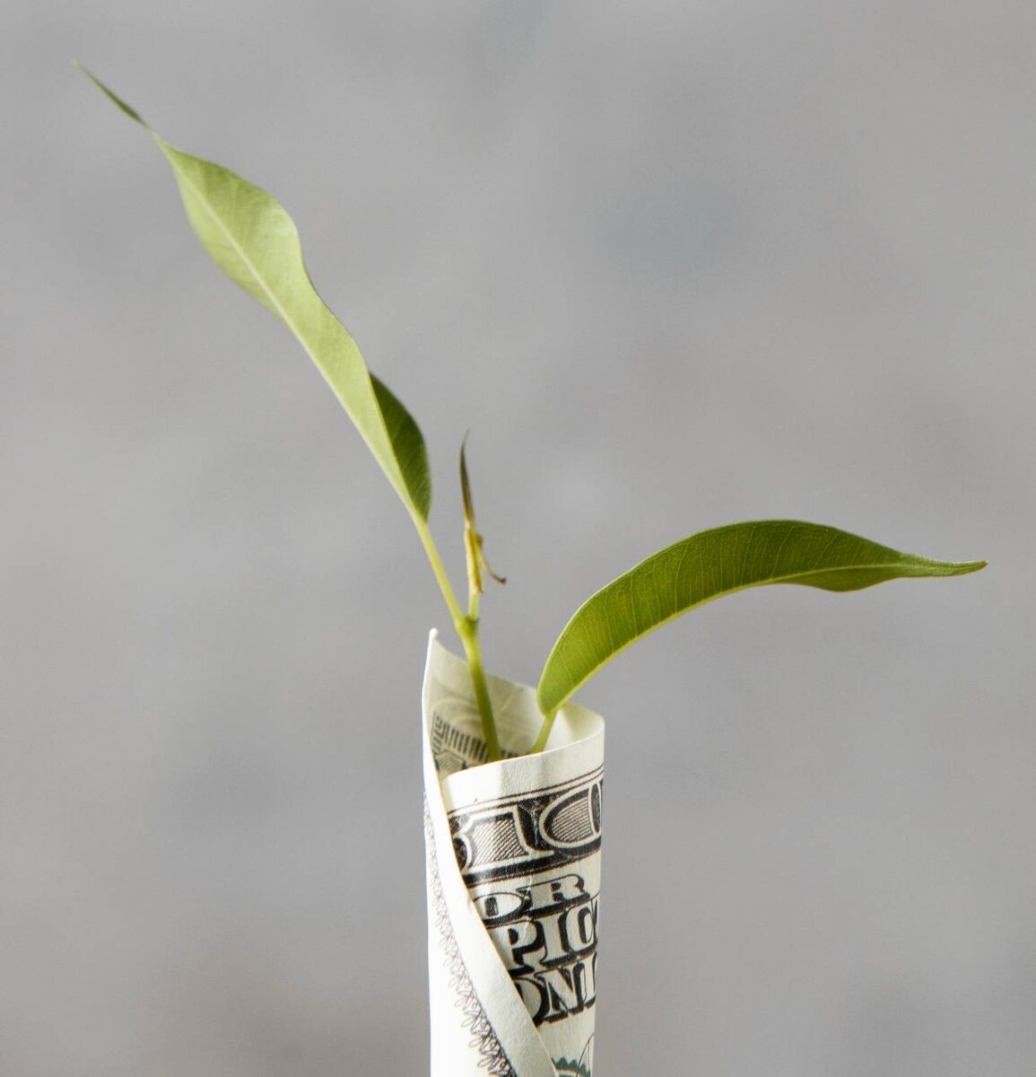 #психология #психологияотношений #женскаяпсихология #самопознание #ктоя #ревность #родители #кризис #психолог #депрессия #апатия #стресс #тревога #страх #семья #мужчина #замуж #большенемогу
#выборпрофессии #муж #парень #улучшениеотношений #дети #мама #крепкийбрак #декрет #деньги #любовь #карьера #проотношения #красота #здоровье #работа

Приглашаю на консультации 🤝

🖥️ http://n.session.tilda.ws/
📖 https://t.me/natali_session_psychology
📖 https://max.ru/join/EF0SzfH4-_2OMx1FctskMj_BeaGZKynsJGoQqBT98Uc