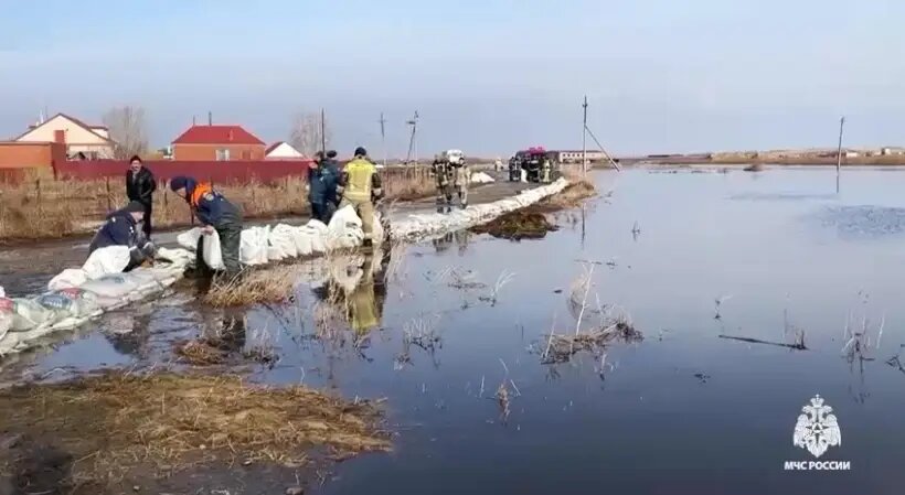     © РИА Новости. МЧС РФ