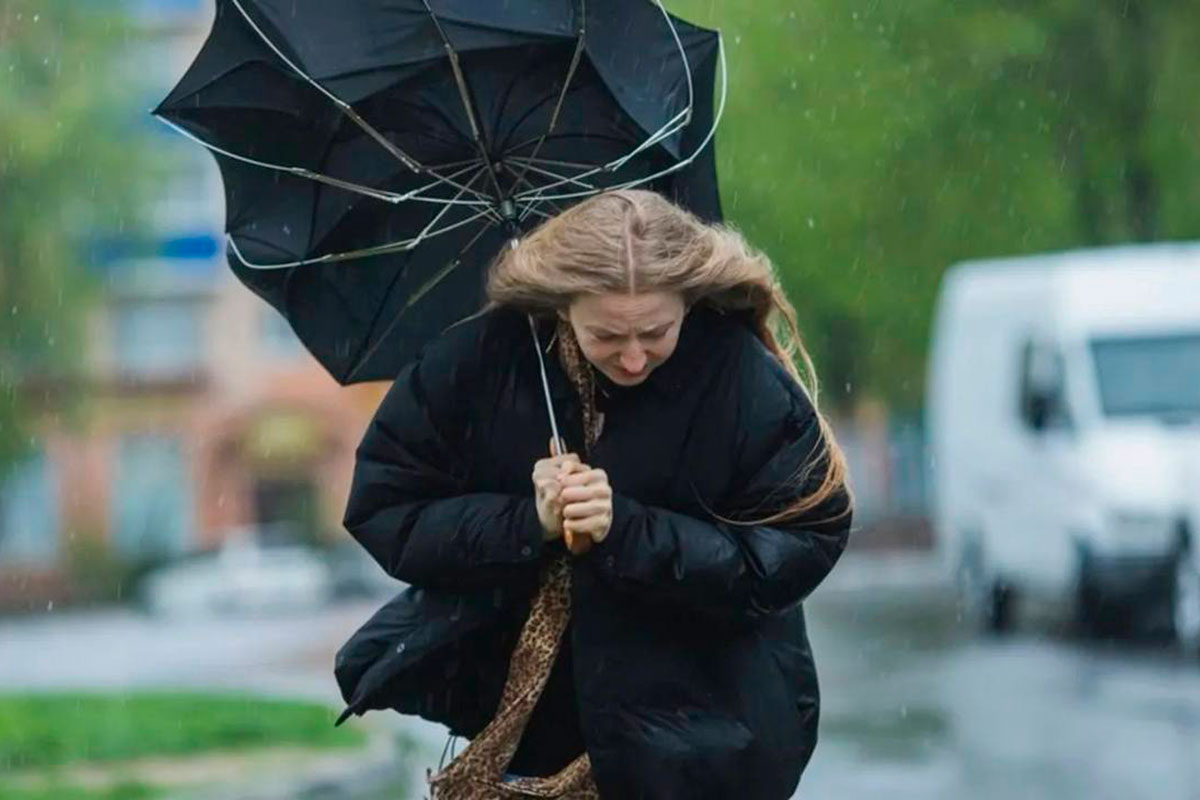    Фото: iiievgeniy / Pixabay.com