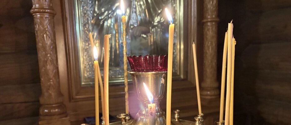    Фото: АиФ/ Ирина МАЛИНА