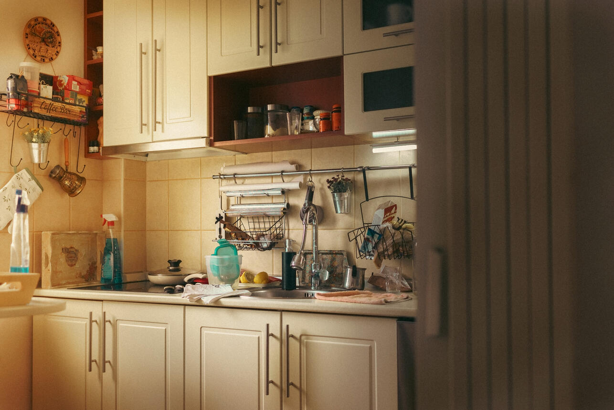 Фото https://ru.freepik.com/ 
