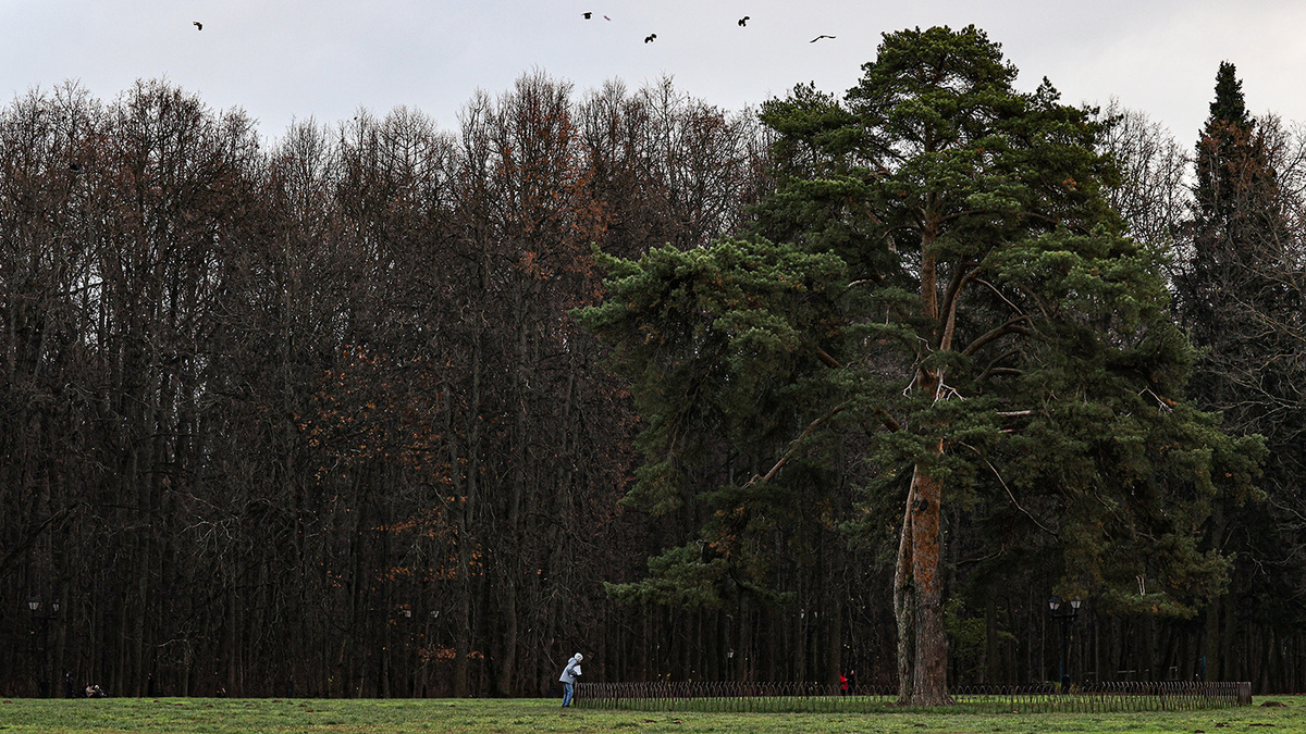   Валерия Калугина / ТАСС