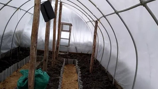 Внутри теплицы всегда теплее — именно поэтому патогены зимуют здесь, а не в открытом грунте