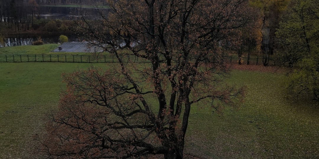 Третья грань ландшафта: Как мы проектируем нейробиологический комфорт.