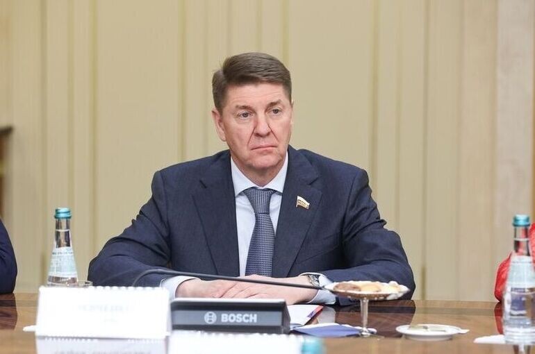   Денис Вышинский/Пресс-служба Совета Федерации