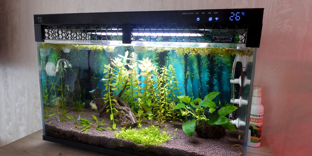 Два года с умным аквариумом Xiaomi: мой опыт